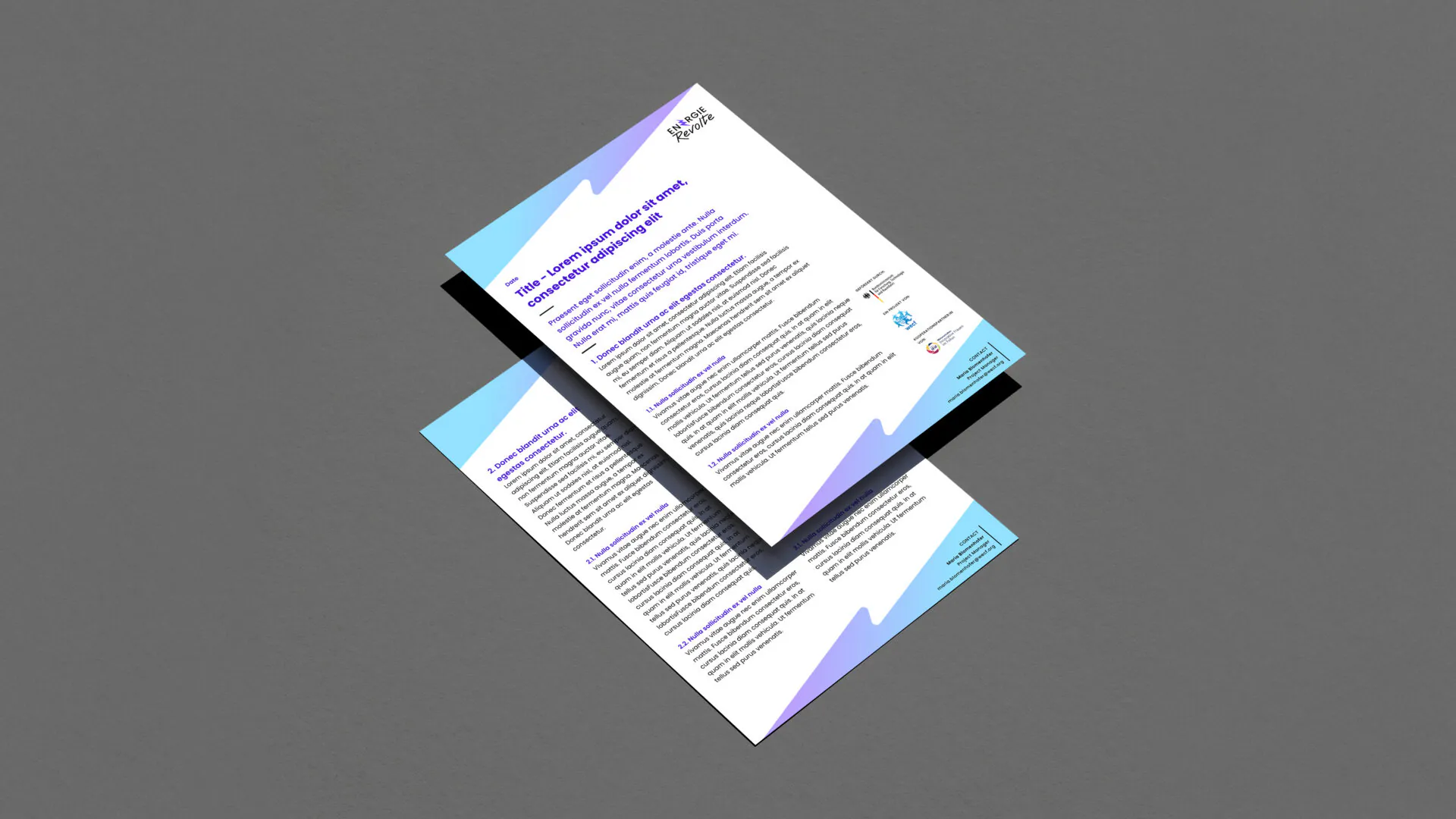 WECF Publication